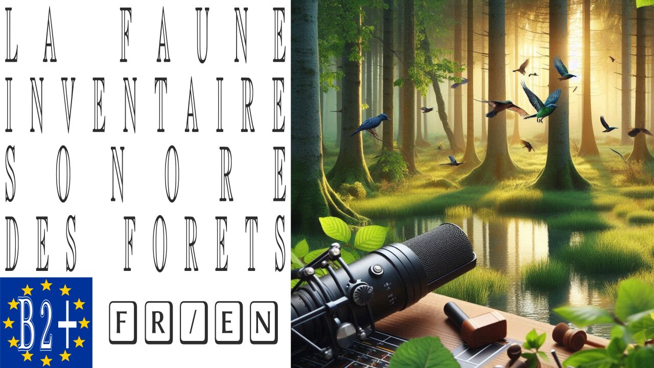 Faune : inventaire sonore des forêts