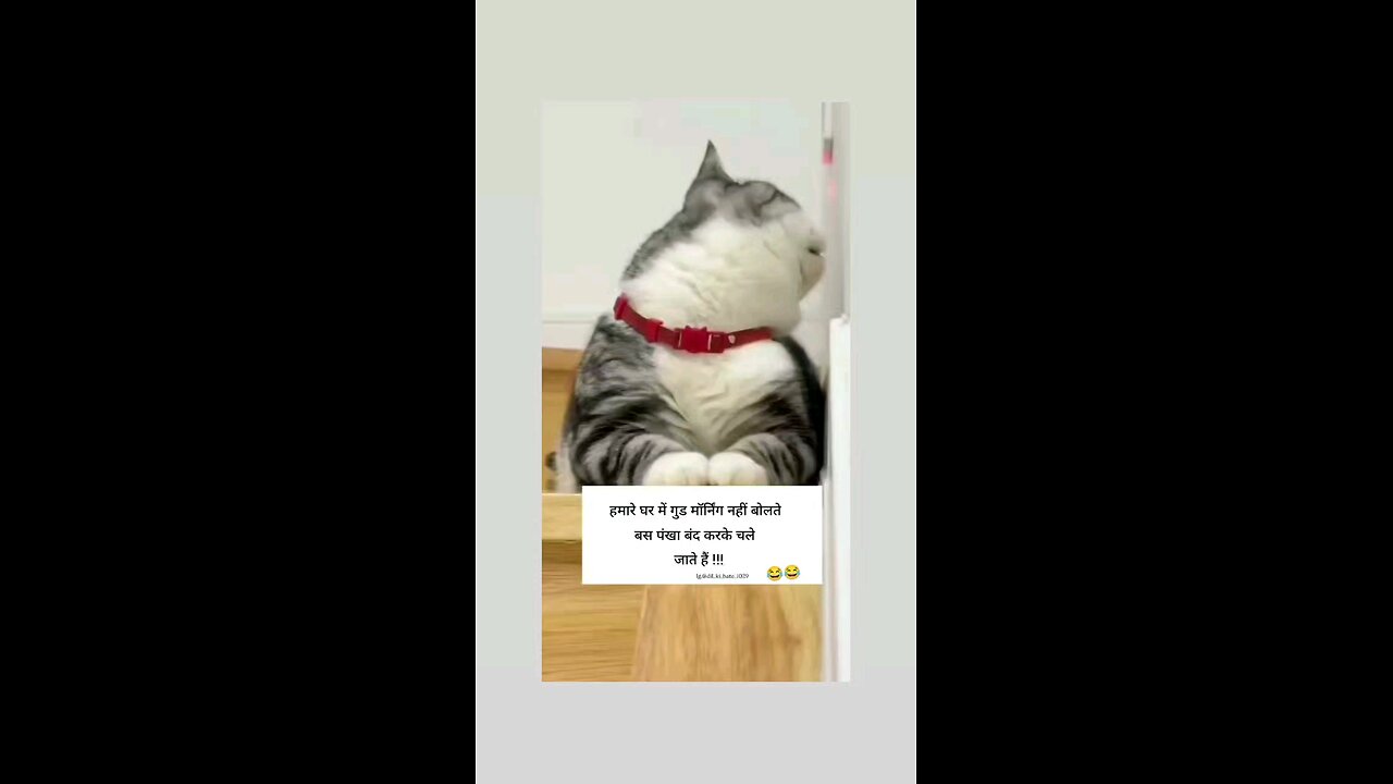 हमारे घर मै