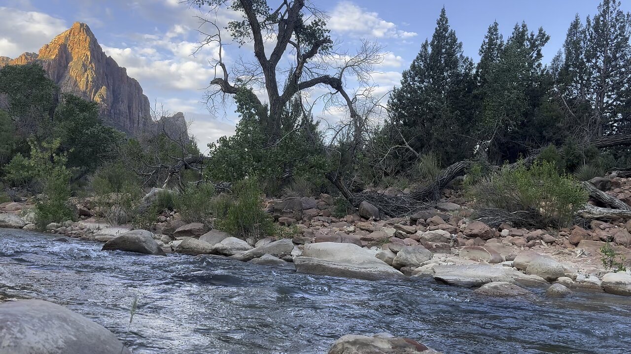 Gentle River Stream Sounds Zion National Park