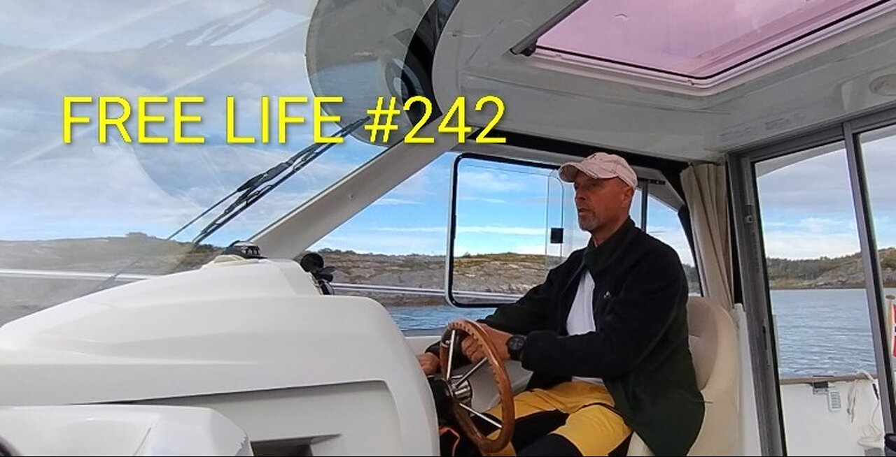 Free Life #242