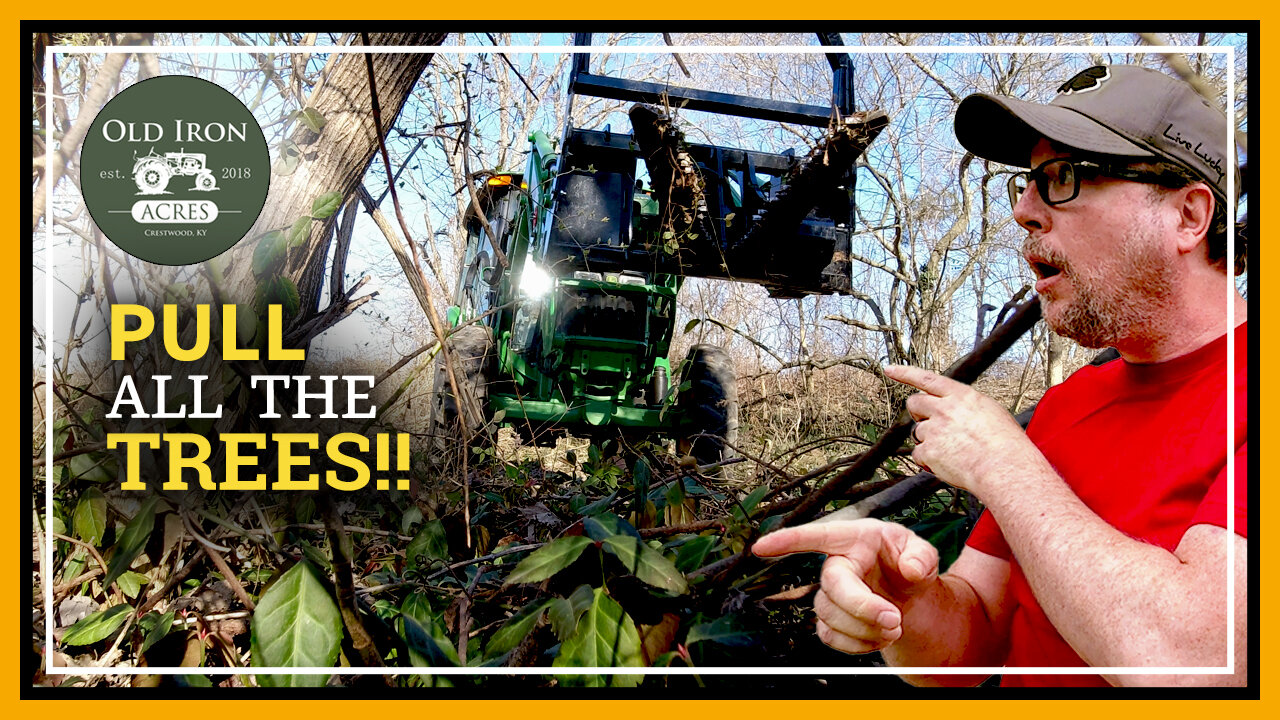 Powerful Tree Puller on Tractor PLUCKS Invasive Honeysuckle with Ease!
