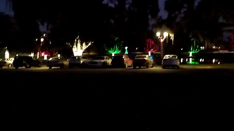 Lake Lillian Christmas decorations