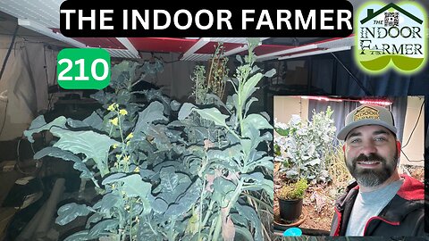 The Indoor Farmer ep 210, New Light Schedule Problems & Winter Indoors? Let's Grow