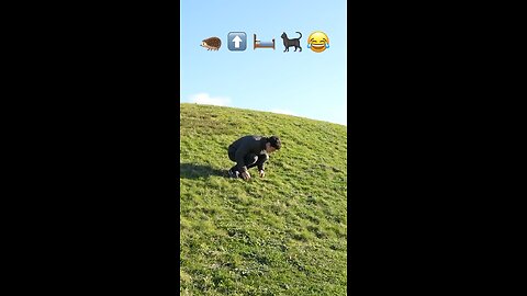 Try Not to Laugh 🤣😂