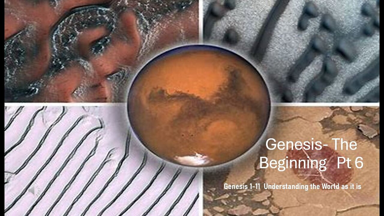 Genesis- The Beginning Pt. 6
