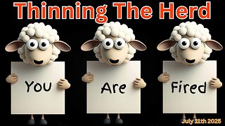 Wendy Bell Radio: Thinning the Herd