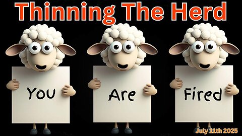 Wendy Bell Radio: Thinning the Herd