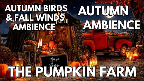 🍁 The Pumpkin Farm Ambience | Autumn Birds, Light Winds & Crickets | 4K Fall ASMR
