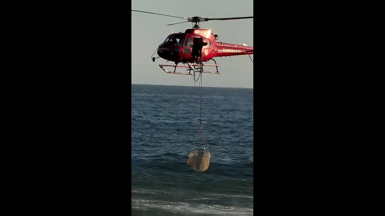 They were rescued from the water before They were rescued from the water before their eyes