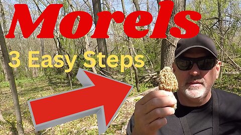 Find Morels in 3 Easy Steps