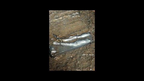 my first 2 mig beeds