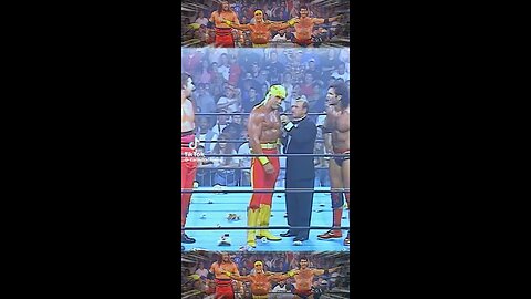 Hulk Hogan NWO