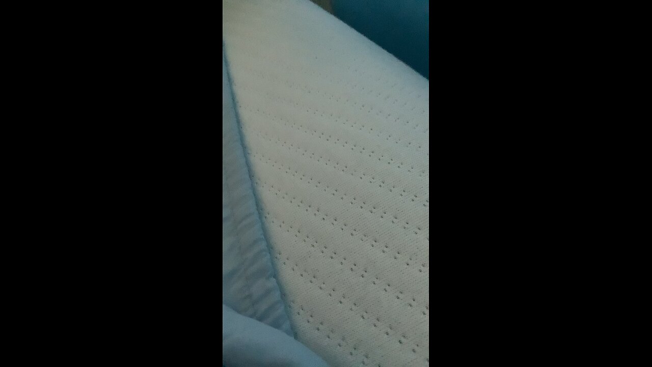 Lizard? nope