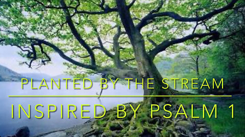 🎵 Planted by the Stream - Inspired by Psalm 1! 🎵