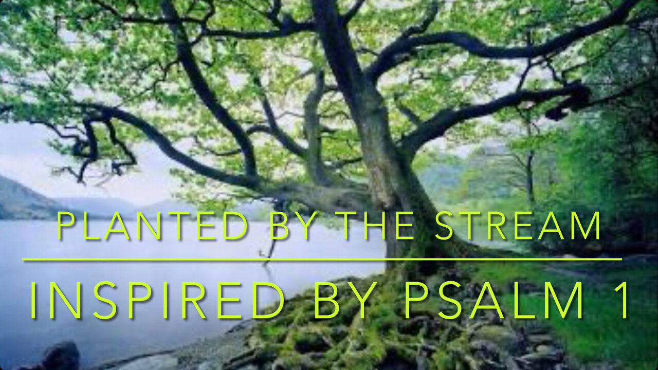 🎵 Planted by the Stream - Inspired by Psalm 1! 🎵