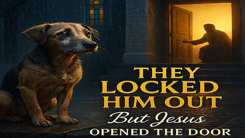 Pastor Opens Church to Stray Dog After Everyone Else Shut Him Out