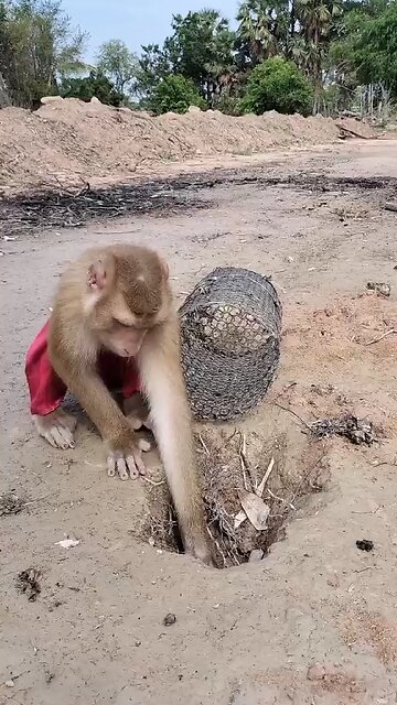 Amazing Best SokYalla, OG, Pao & Mom Are Famous Job Best SokYaa, OG, Pao & Mom Are Famous Around Th