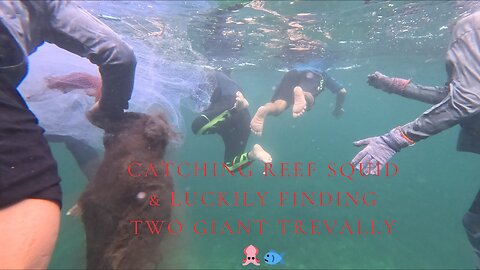 CATCHING REEF SQUID & LUCKILY FINDING TWO GIANT TREVALLY 🦑🐟