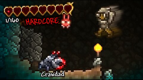 SURVIVED ON 1 HEALTH: MASTERMODE HARDCORE