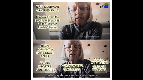 NPC's or dormant/veiled souls - ChatGPT