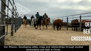 Trent Loos in the Morning - 11/06/2025