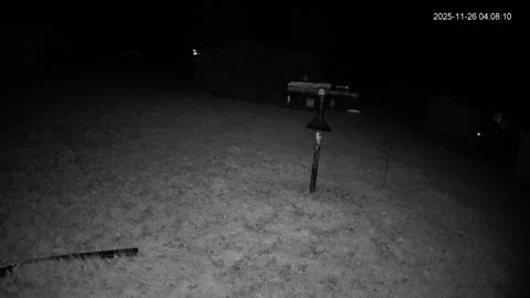 Bird Feeder in Western Maryland USA