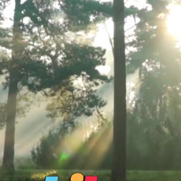 😊 137 PIDE, BUSCA, LLAMA Lucas 11:9–10 😊