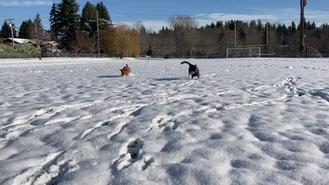 snow patrol 24098320948320948