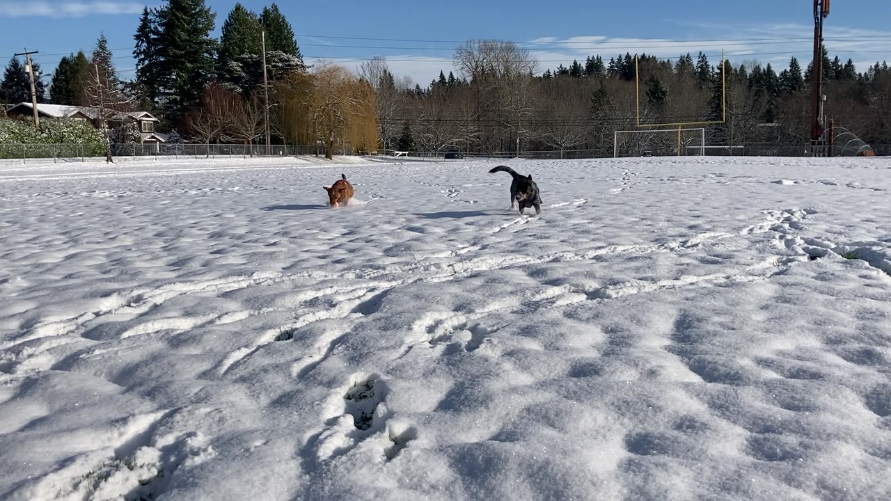 snow patrol 24098320948320948