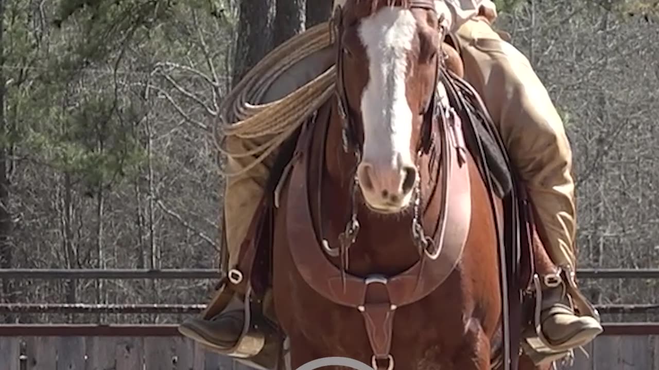 Look for a nice and easy lead departure.