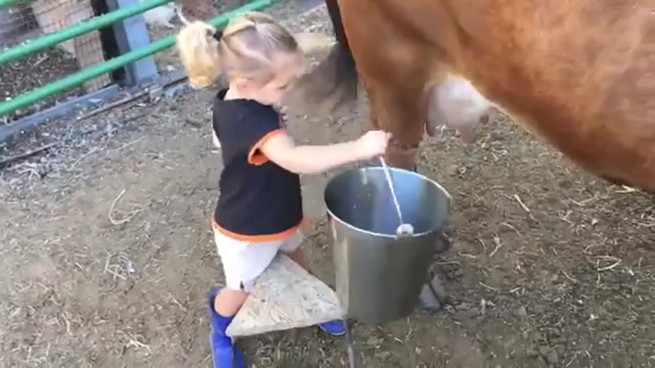 Baby & Cow