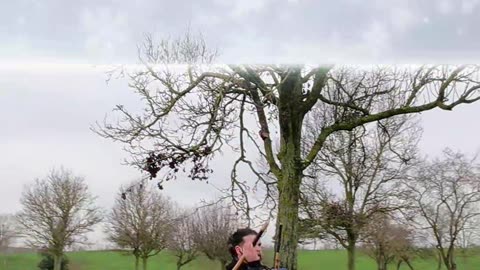 « En ce jour de Noël, prenons le temps de savourer l’essentiel : l’amour, le partage et la joie . »