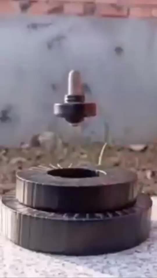 Imagine at what stage of evolution we could be if we applied all knowledge