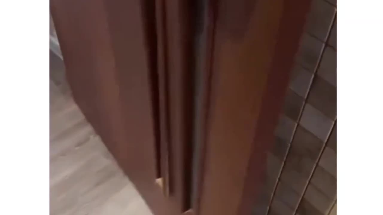 Hilarious Picks | Your Daily Dose of LOL 🤣🎉