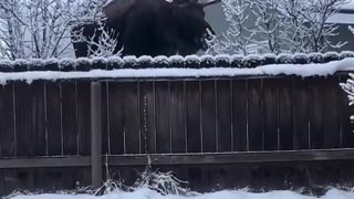 Woe Day 124. I am in the ark. Waiting for GOD to open the Door for a spring/summer Pentecost rapture