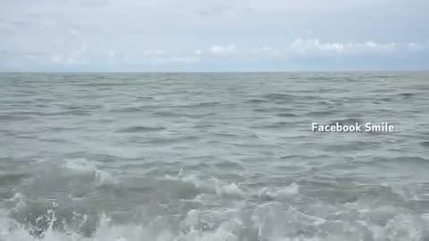 Aslme video