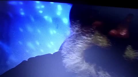 Your my Valentine With Flute Leed