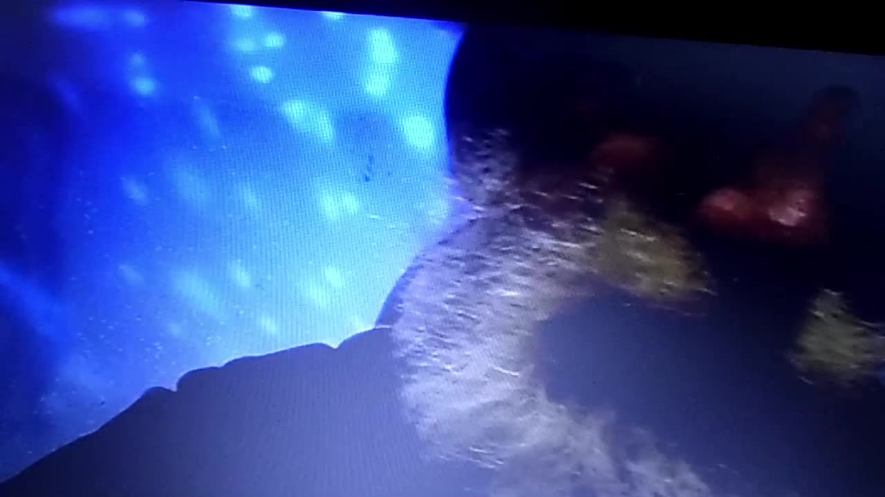 Your my Valentine With Flute Leed