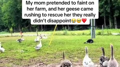 😂🐶 Ohhh heavens! Is she alright out there? | FunFM