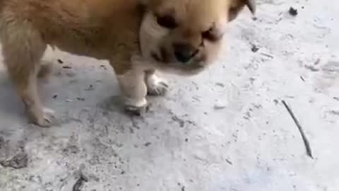 Error