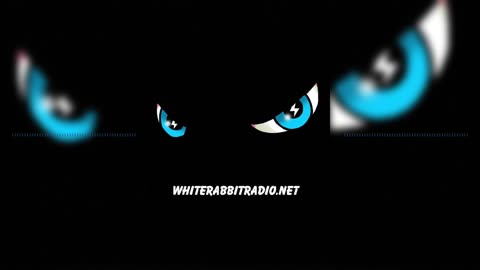 Tim Murdock | White Rabbit Radio