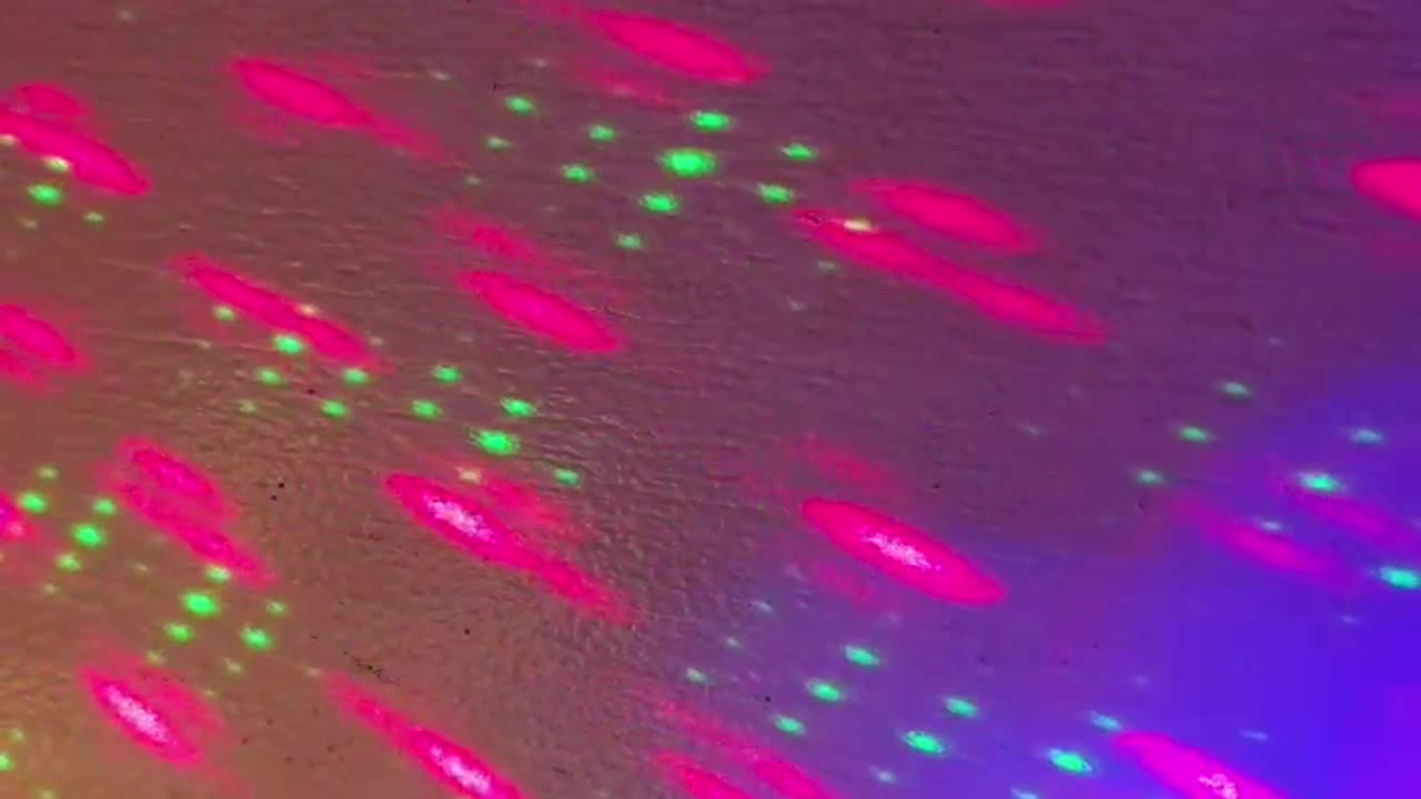 Morning calls 🇺🇸