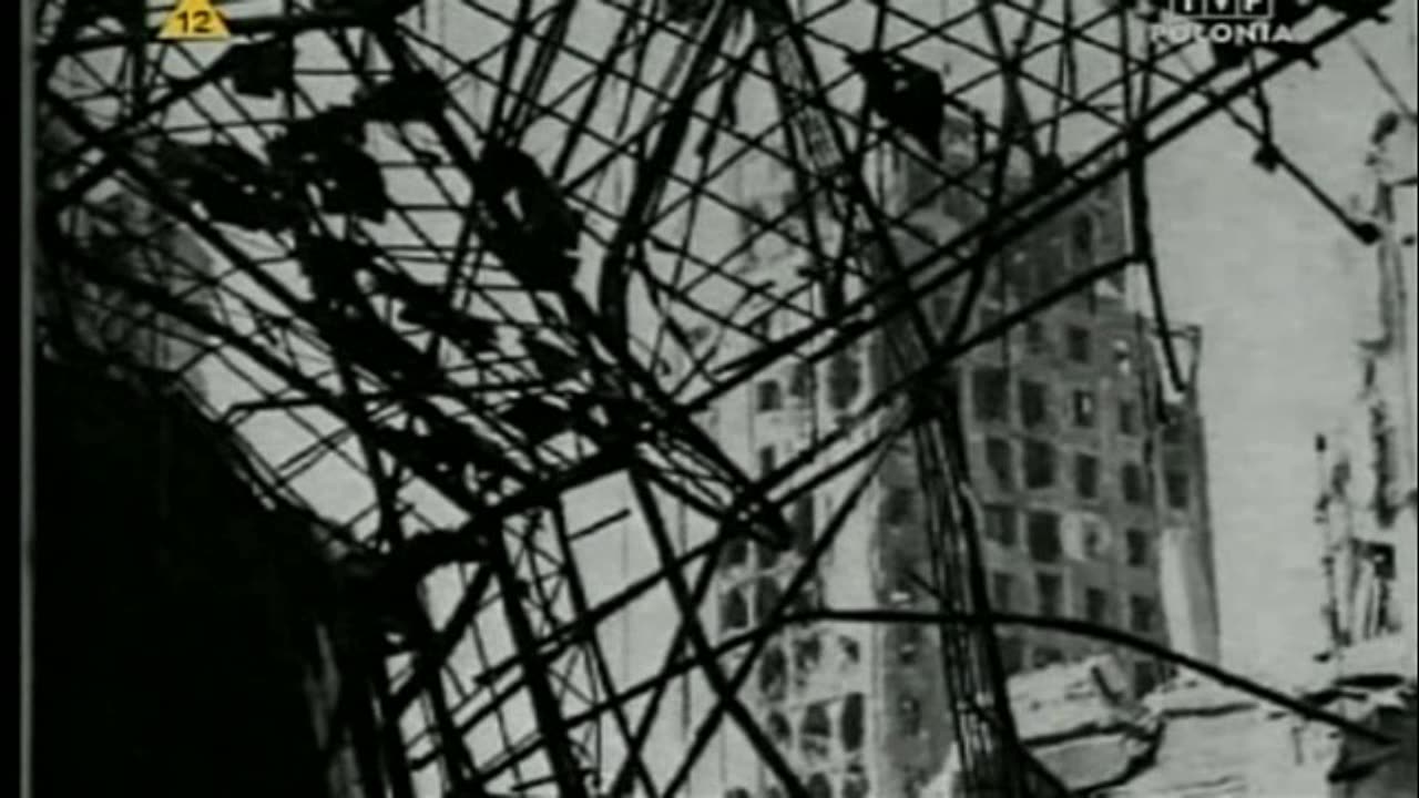 BEZPIEKA 1 dokument pl