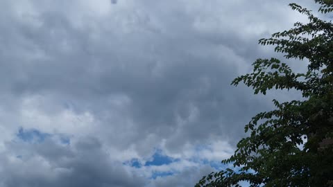 The white sun with a blue hue(2)