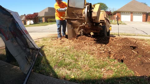 Stump Grinding in Huntsville, Alabama