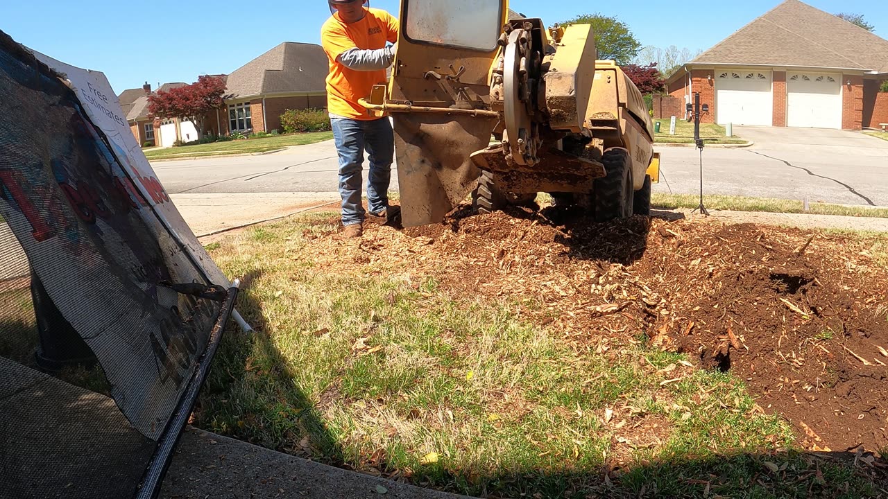 Stump Grinding in Huntsville, Alabama