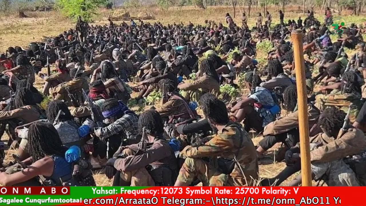 Gabaasa Tarkaanfii ONM-ABO Ebla 7-2025 itti dhiyaadhaa!