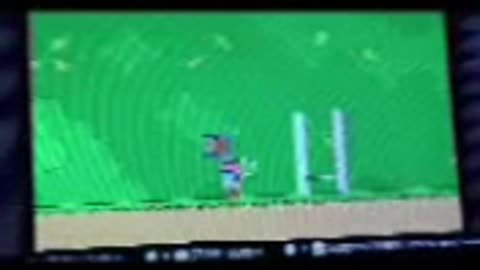 Classic Mario game