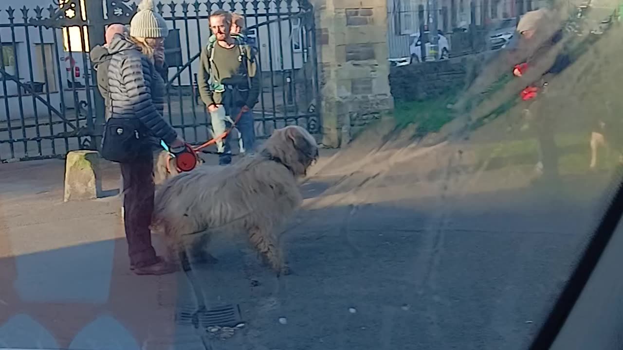 Leads on to LEAVE e after terrorising everything in a cemetery