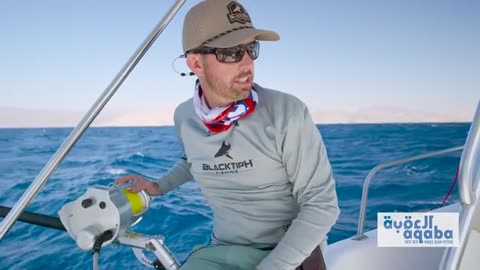 Fishing with Huge Squid as Bait to Catch Something Bigger_part1